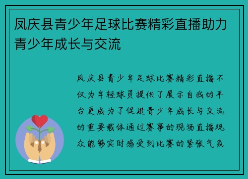 凤庆县青少年足球比赛精彩直播助力青少年成长与交流